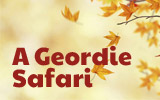 A Geordie Safari