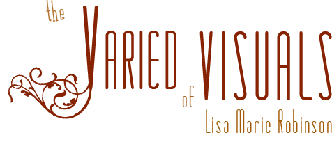 The Varied Visuals of Lisa Marie Robinson