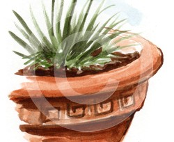 Armeria Maritima Watercolour Sketch © Lisa Marie Robinson