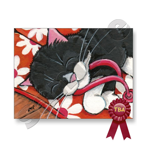 TBA Winner - Tuxedo Cat Asleep on Flip Flops Postcard