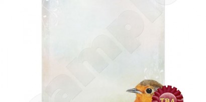 TBA Winner - Rainbow Pastel & Robin Letterhead