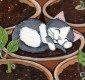 ACEO - Love Grows