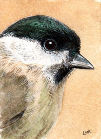 ACEO - Willow Tit
