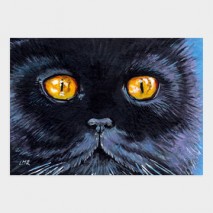 Cat ACEO - Salem