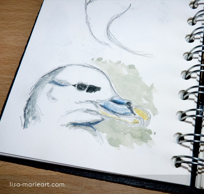 Bird Sketches - Fulmar