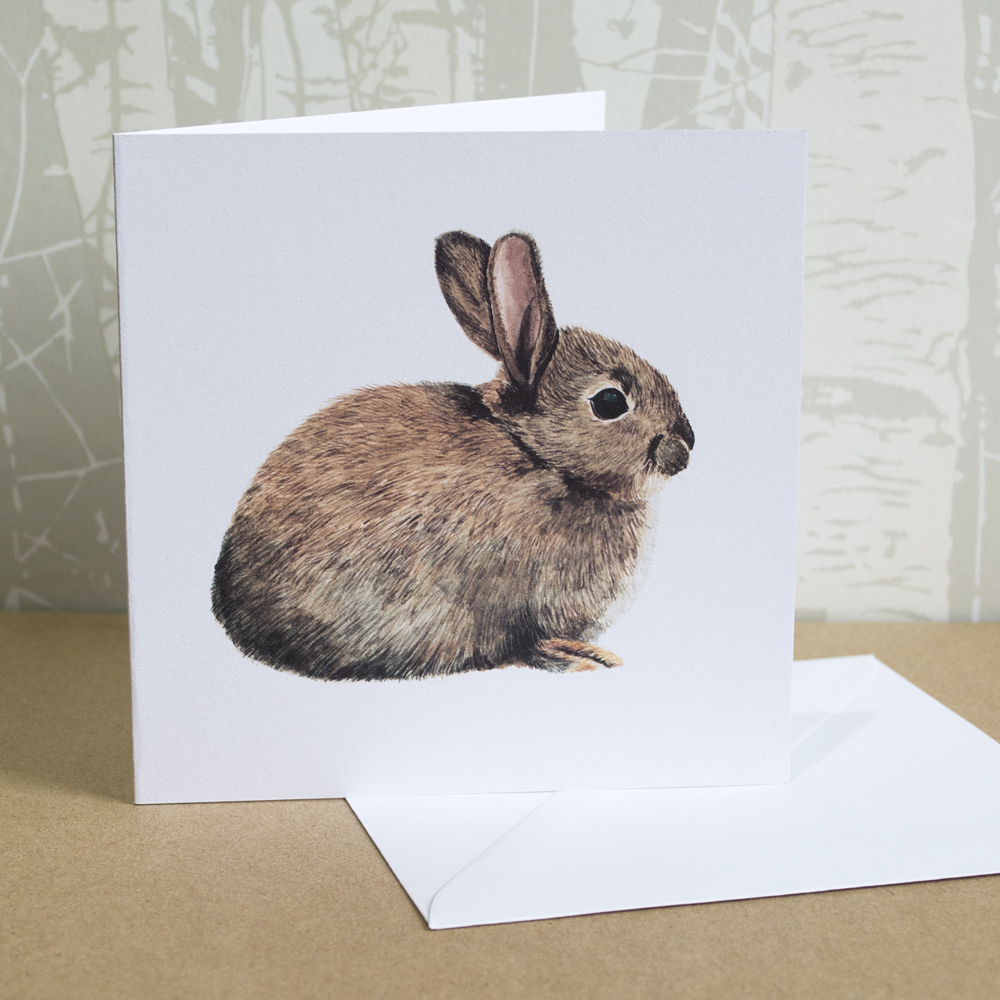 Wild Rabbit Greeting Card for All Occasions