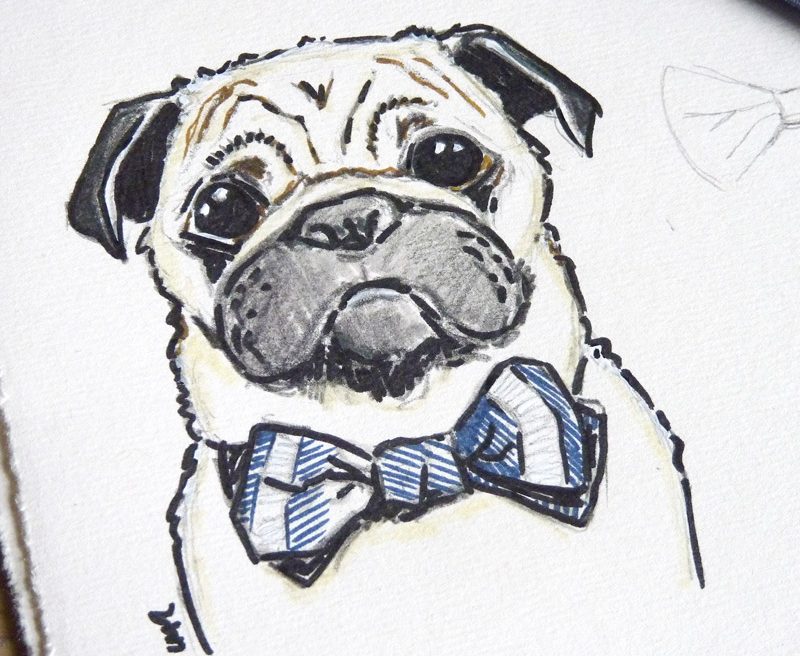 Pug Wearing a Bow Tie Sketch